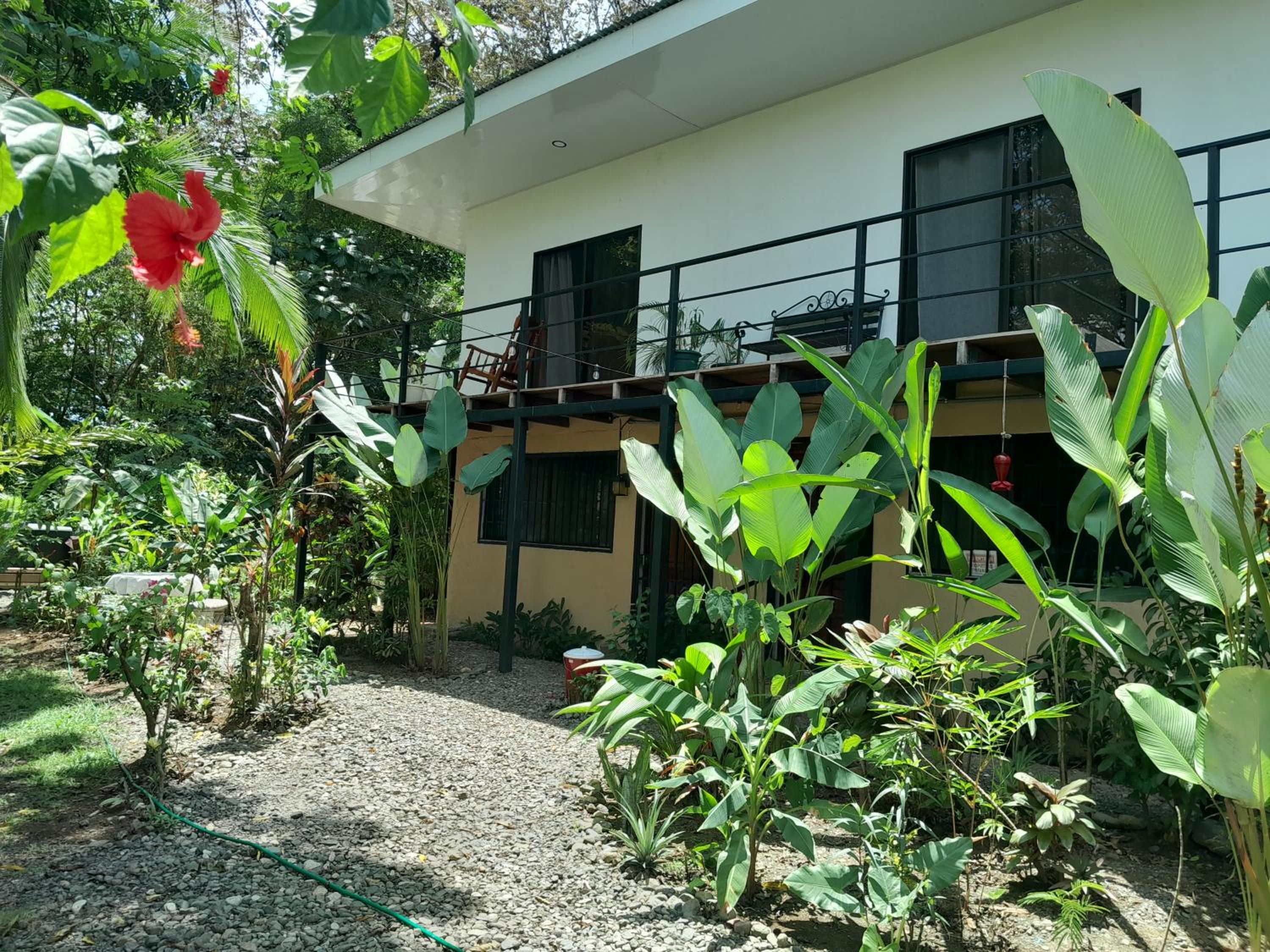 Miah house