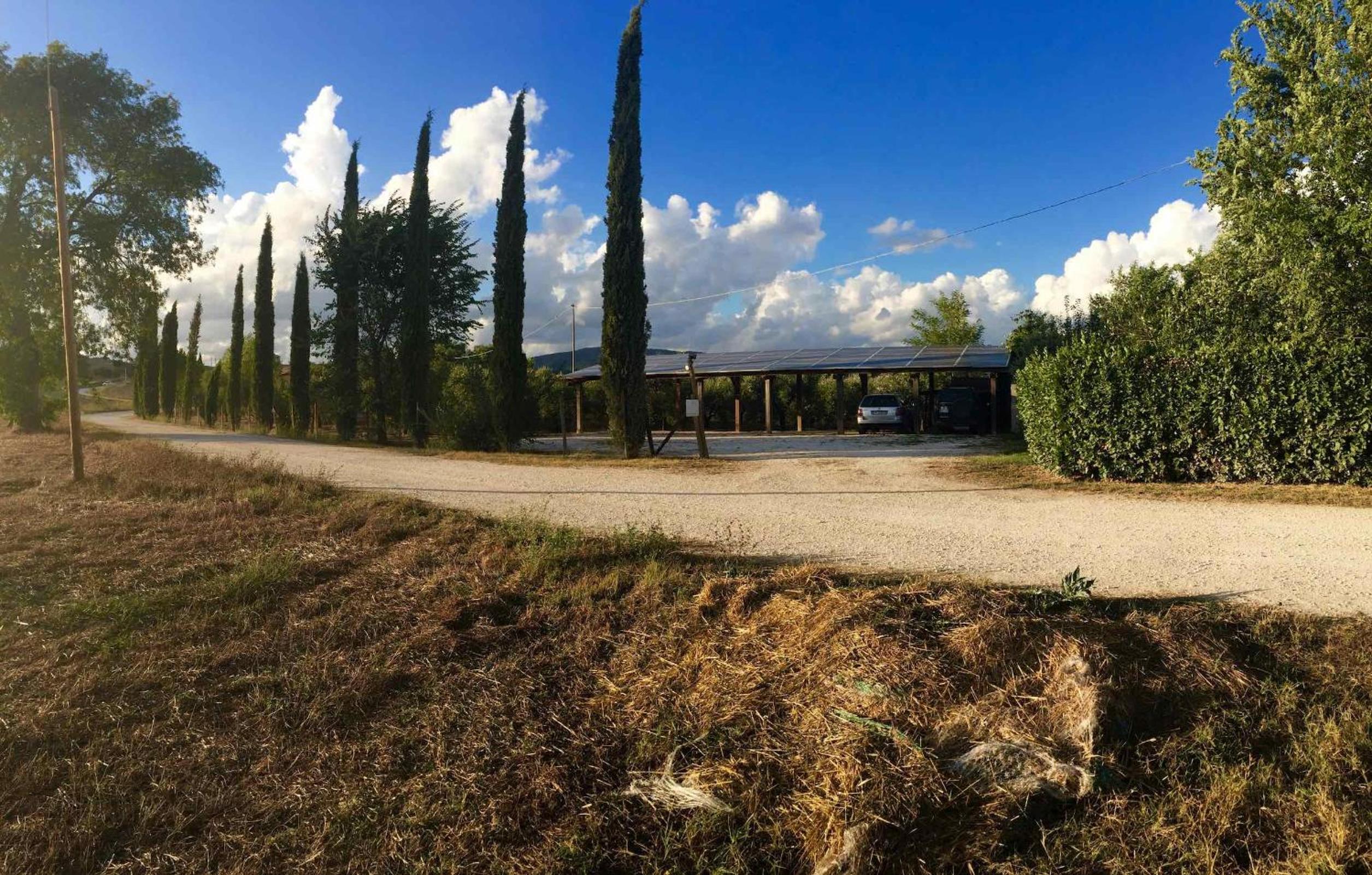 Il Girasole Terzuolo