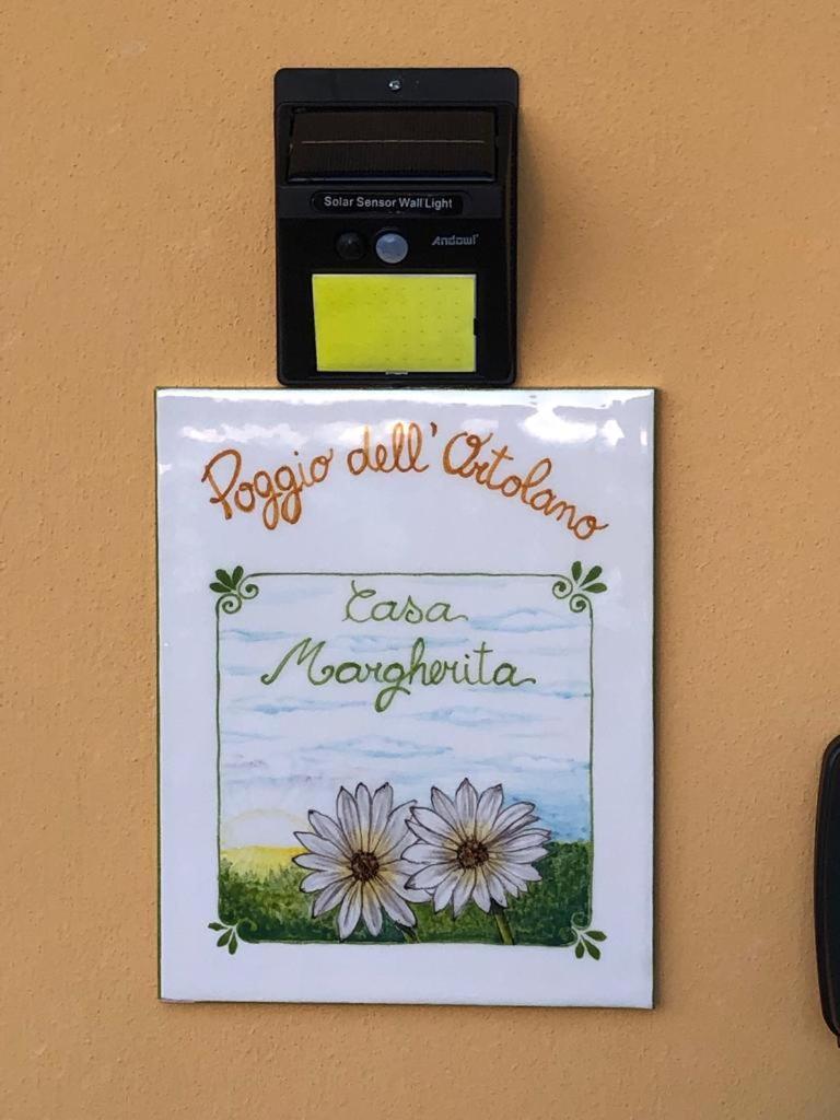 Poggio dell’Ortolano, photo 34