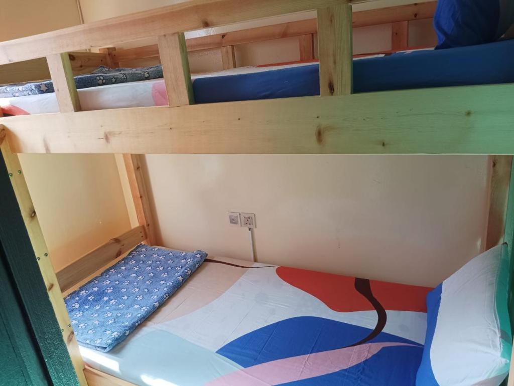 Moon Backpackers , Al Rigga , Partition for Couples and for singles