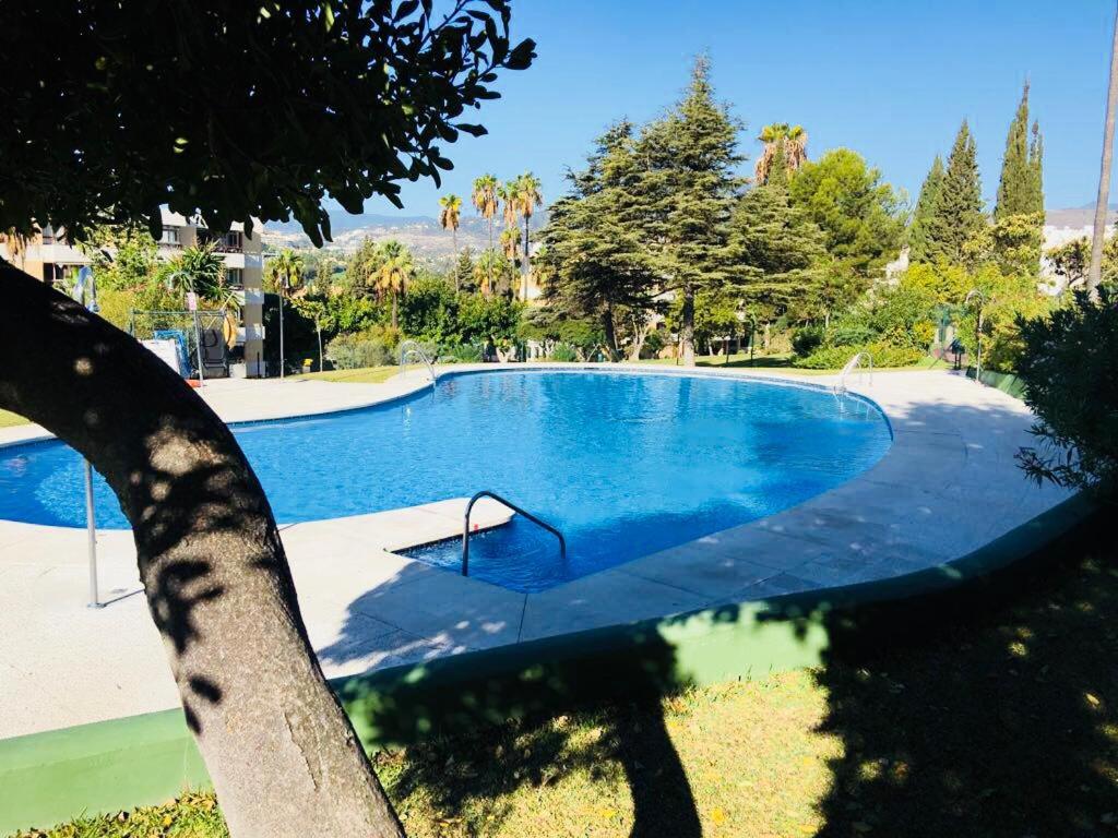 Fantastic apartment sea view near Puerto Banus view 3