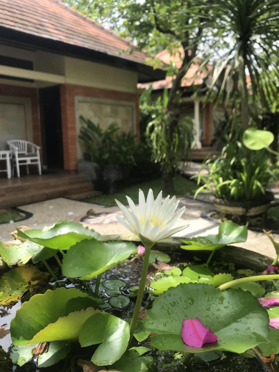 Spacious Private Pool Apartment-Beachside Resort