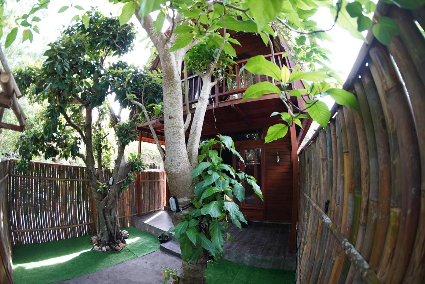 Photo 21
