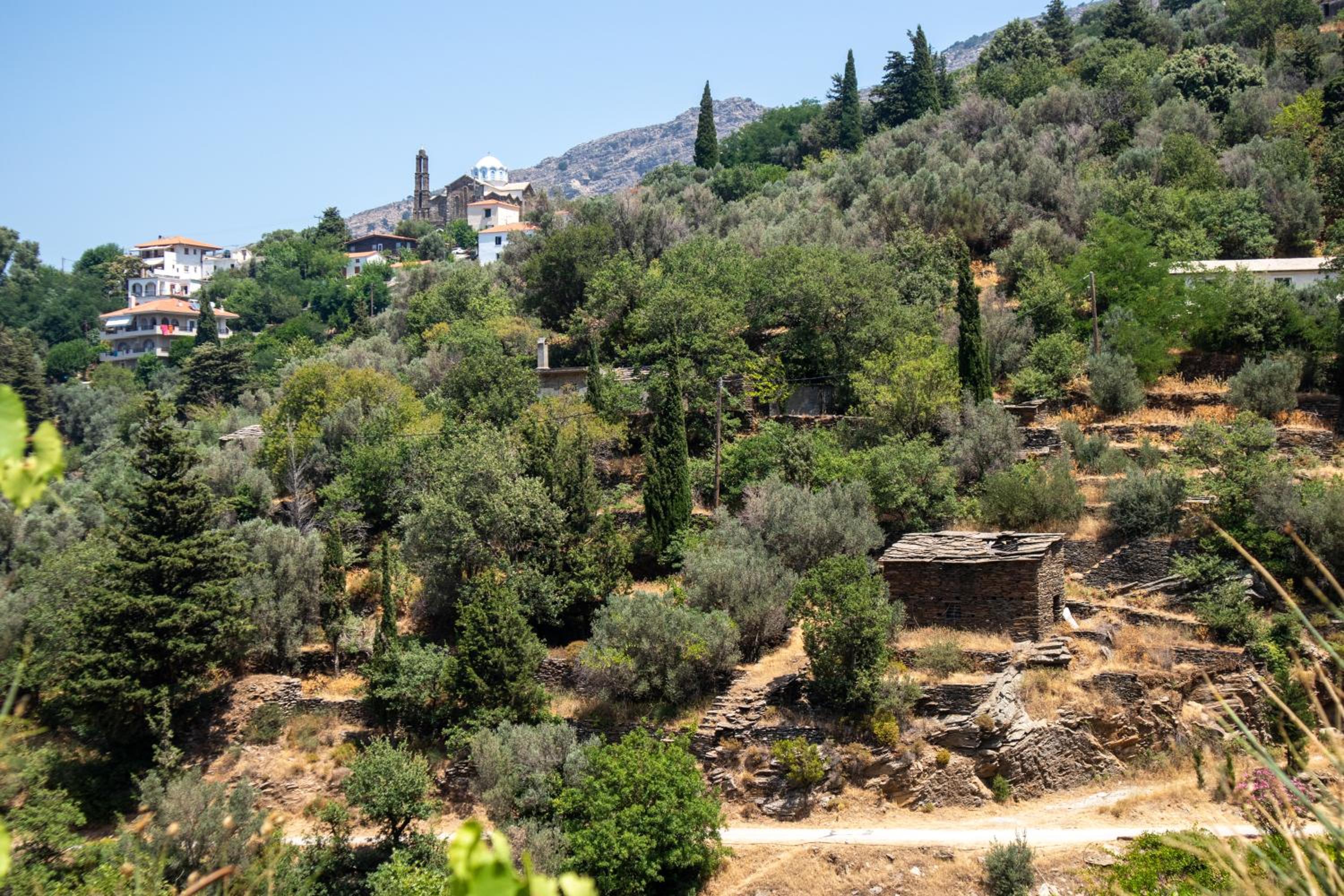 Ikaria View Resort and Villa with Pool