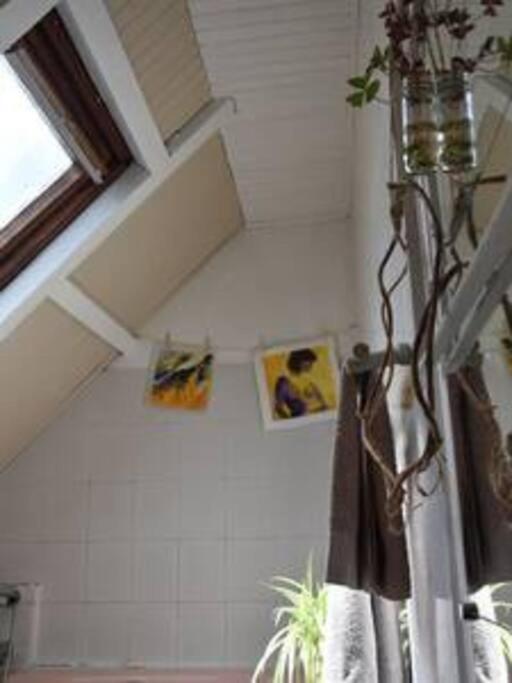 le Strelitzia 1 view 4