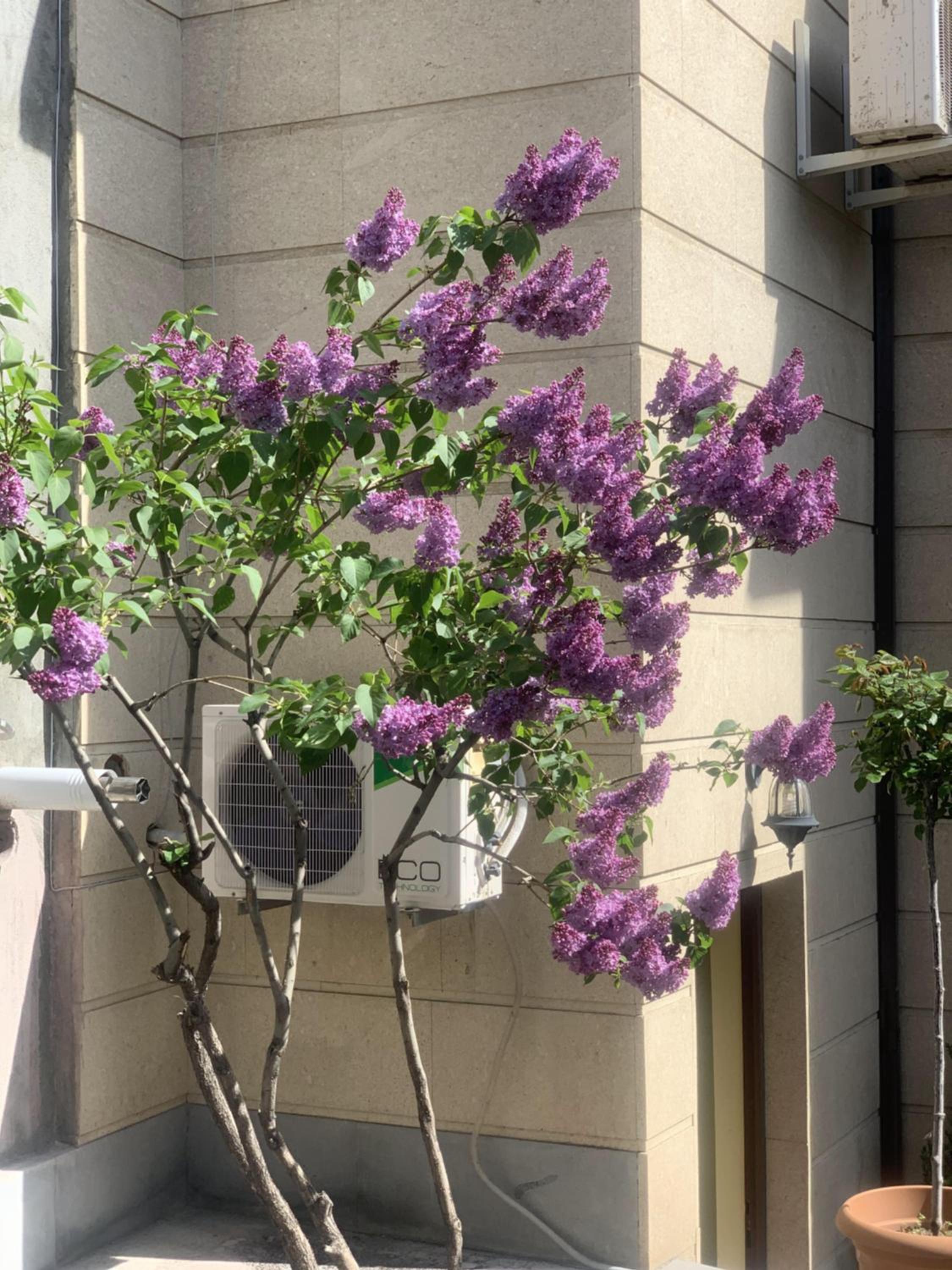 Yerevan Guest House