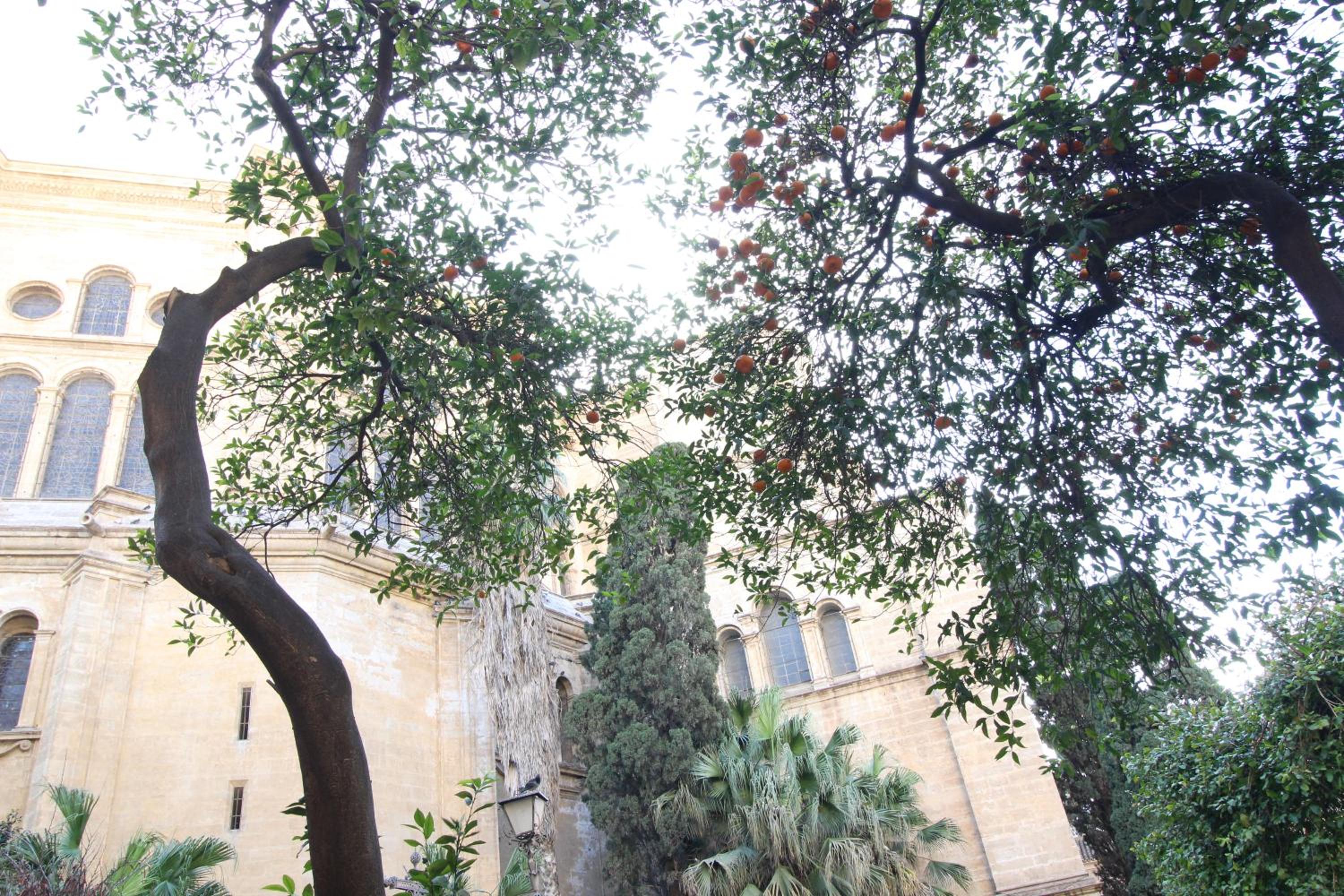 Del Parque Flats Catedral Exclusive