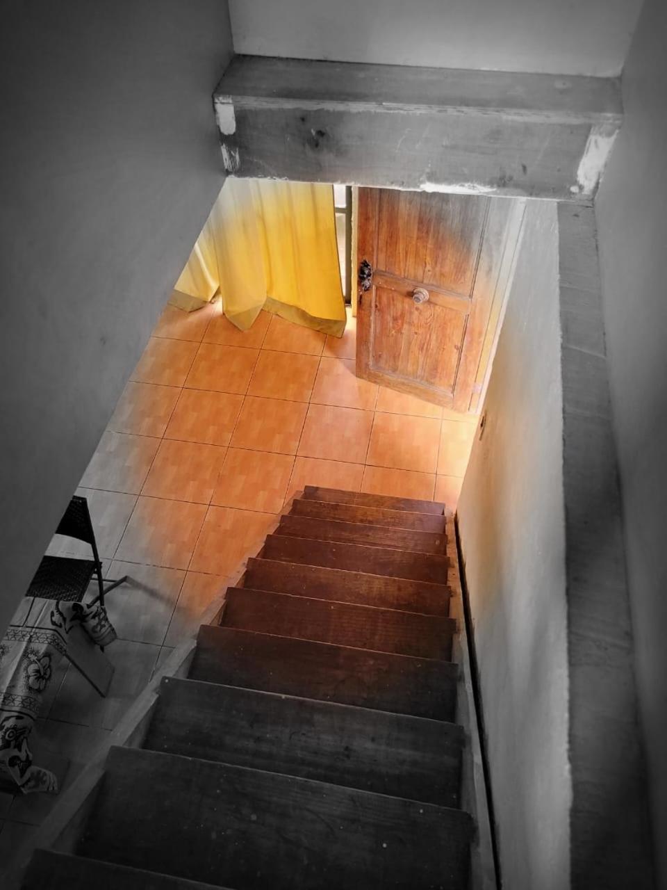 Photo 44