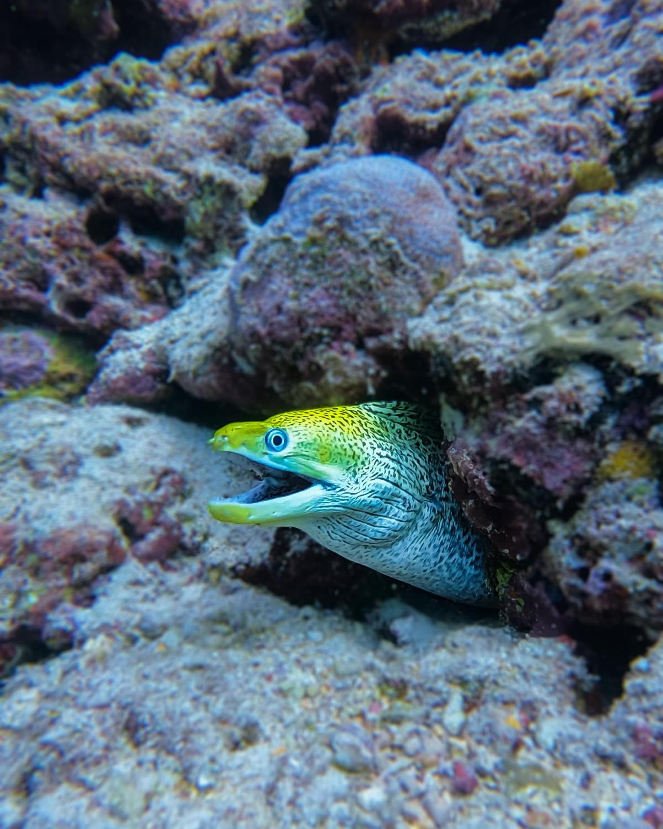 SIS Tourist Villa, Mathiveri, Maldives
