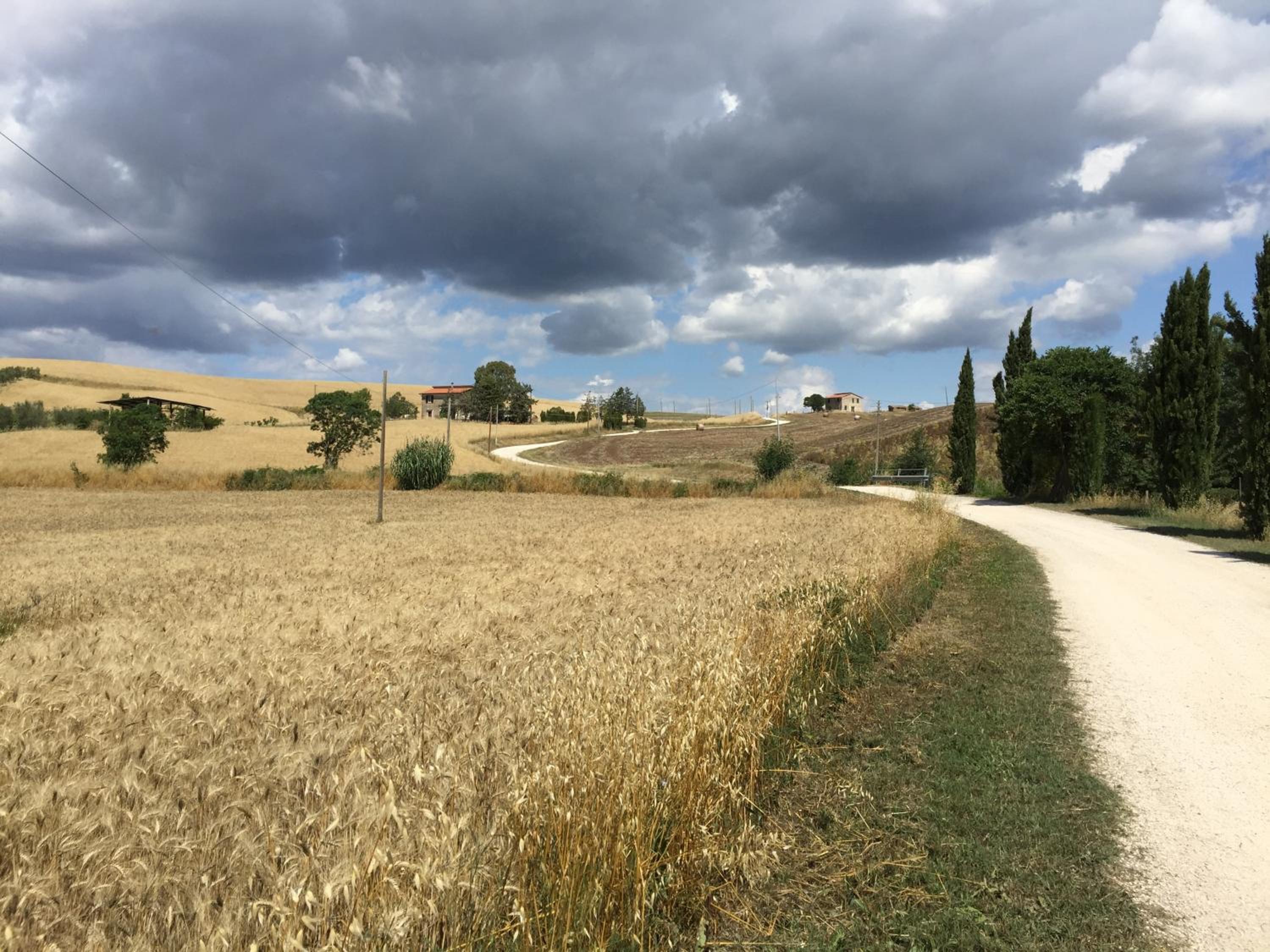 Il Girasole Terzuolo