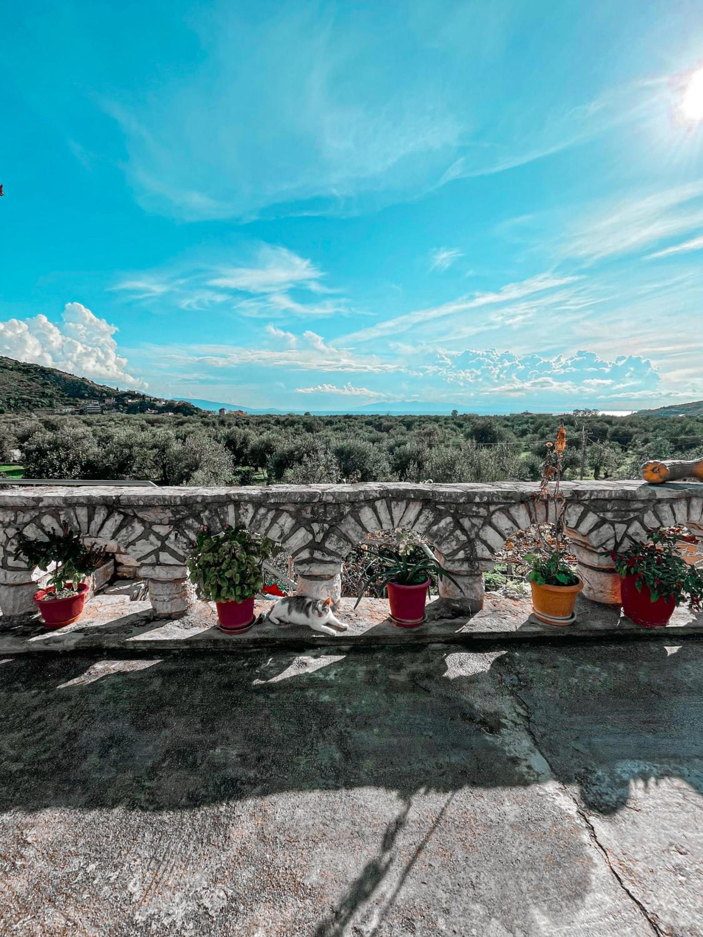 FarmHouse Qeparo photo 2