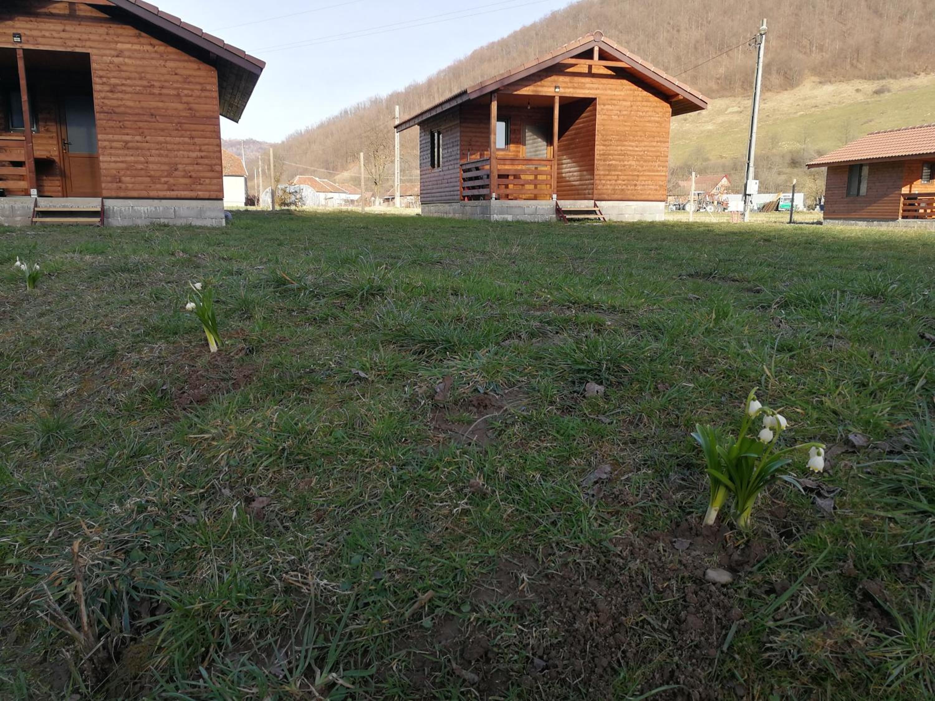 Photo 52