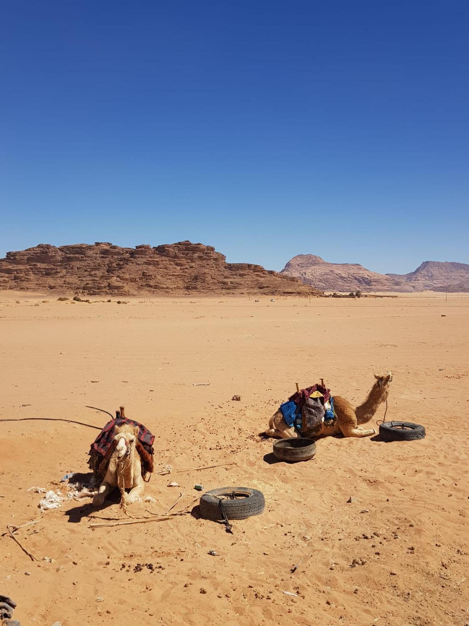 Bedouin experiences