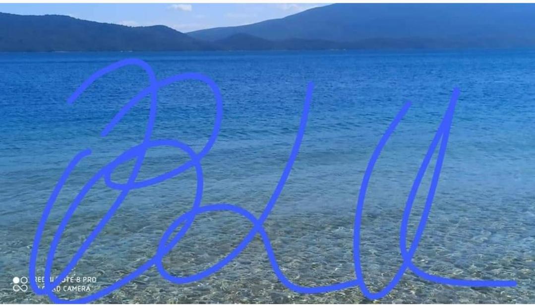 Blu