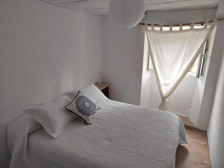 Casa O Coto view 5