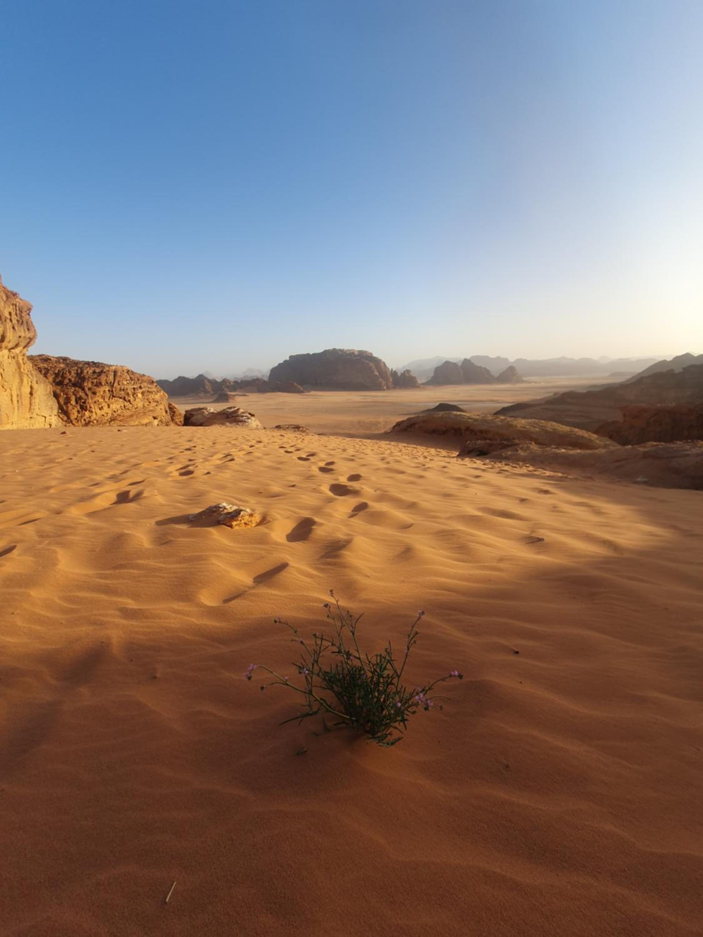 Bedouin experiences