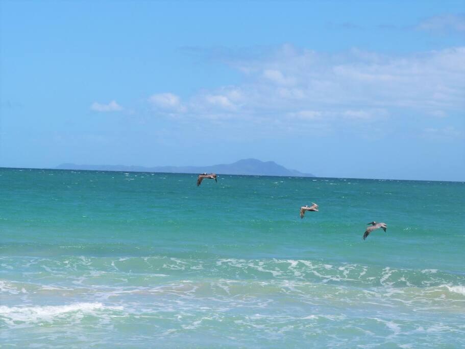 Beachfront Getaway for two! view 5
