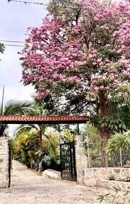 Glamping Mirador de Estrellas Finca Villa Jilito