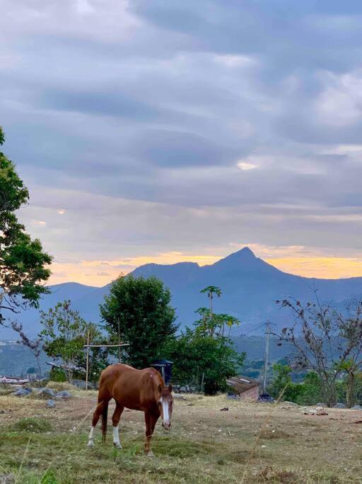 Glamping Mirador de Estrellas Finca Villa Jilito