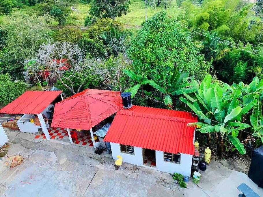 Glamping Mirador de Estrellas Finca Villa Jilito