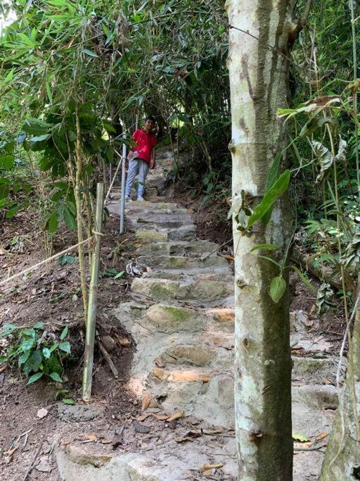Glamping Mirador de Estrellas Finca Villa Jilito