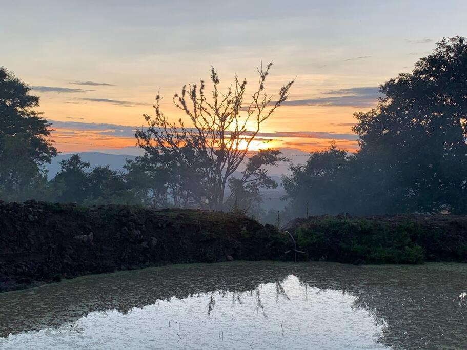 Glamping Mirador de Estrellas Finca Villa Jilito
