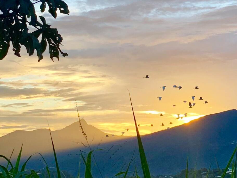 Glamping Mirador de Estrellas Finca Villa Jilito