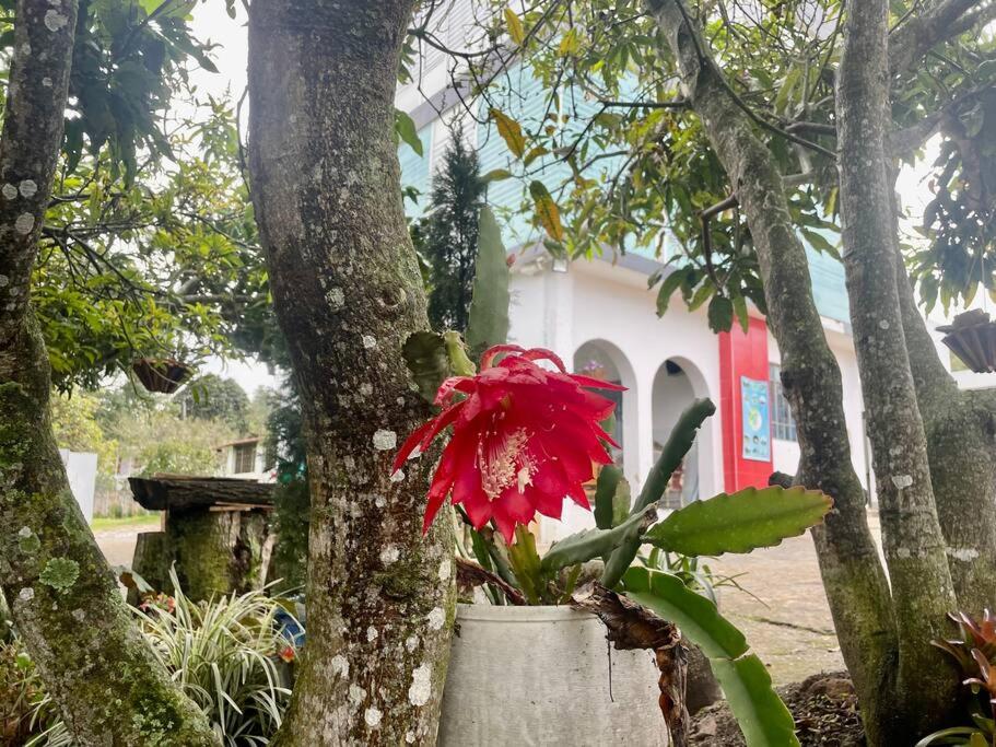 Glamping Mirador de Estrellas Finca Villa Jilito