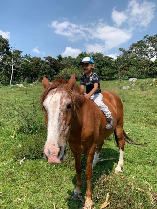 Glamping Mirador de Estrellas Finca Villa Jilito