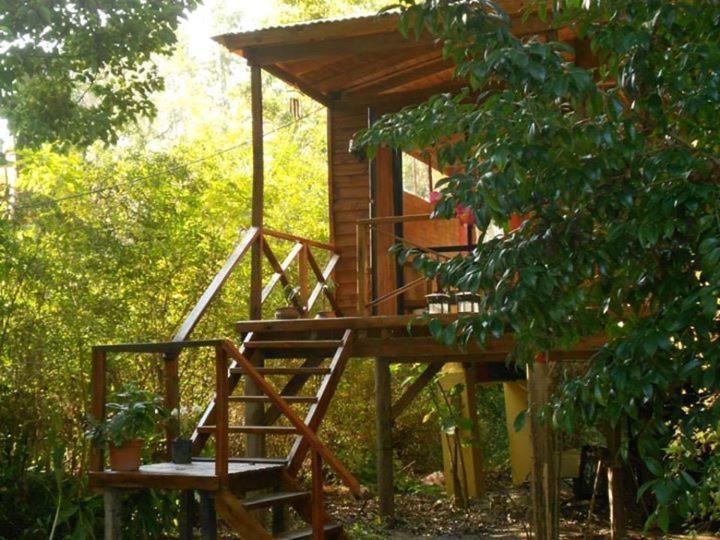 Cabaña Los Alcanfores