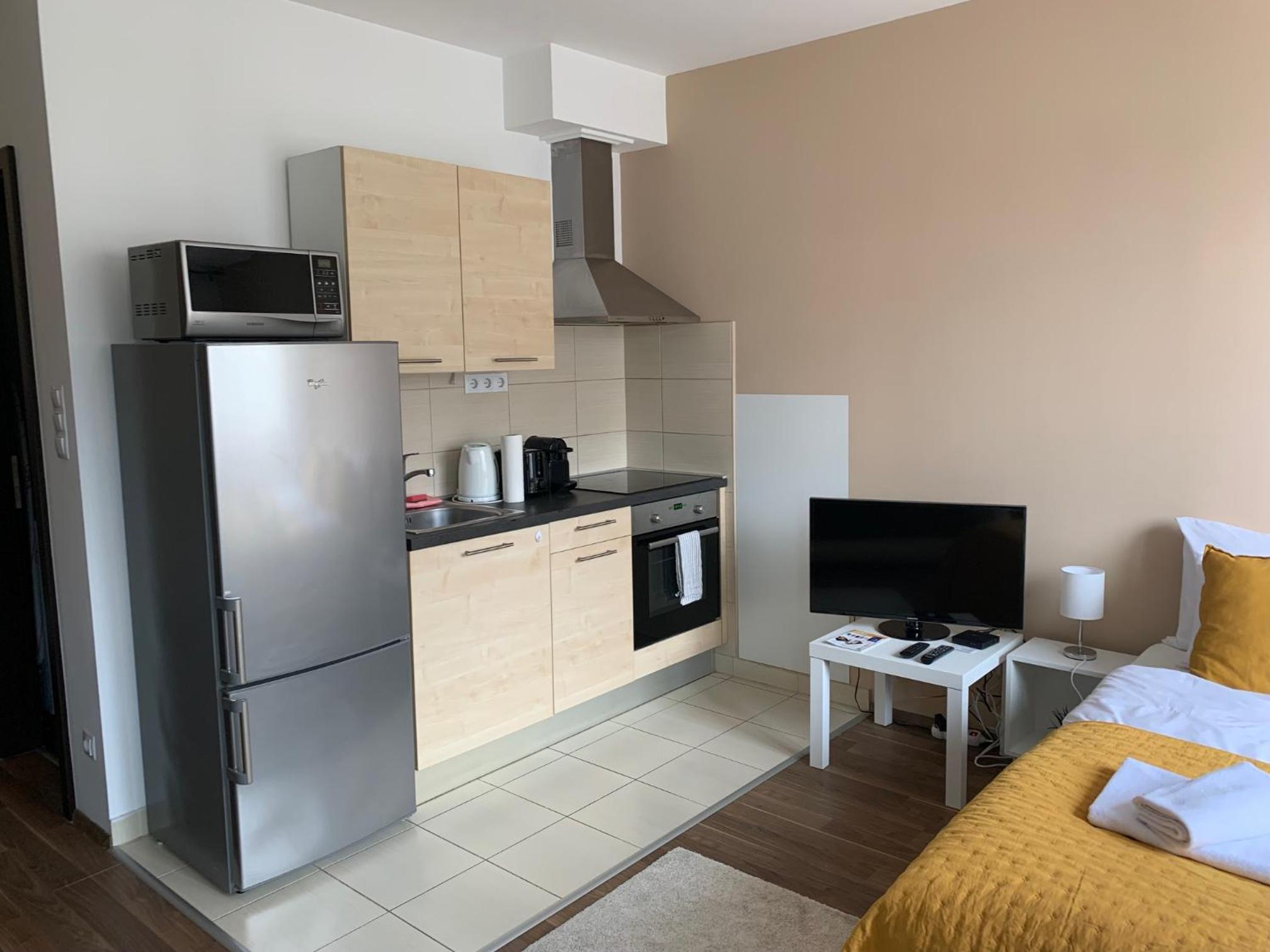 Corvin Sun Downtown Apartment view 3