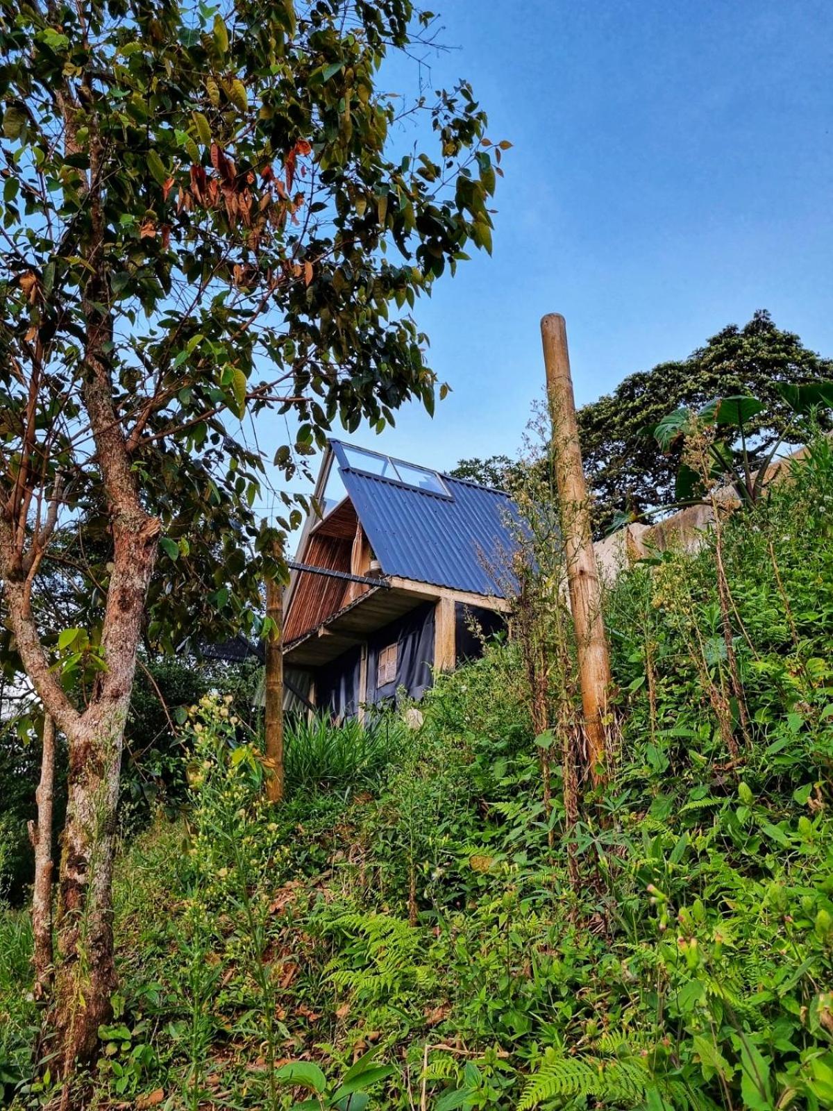 Casa Mostaza-Ecolodge