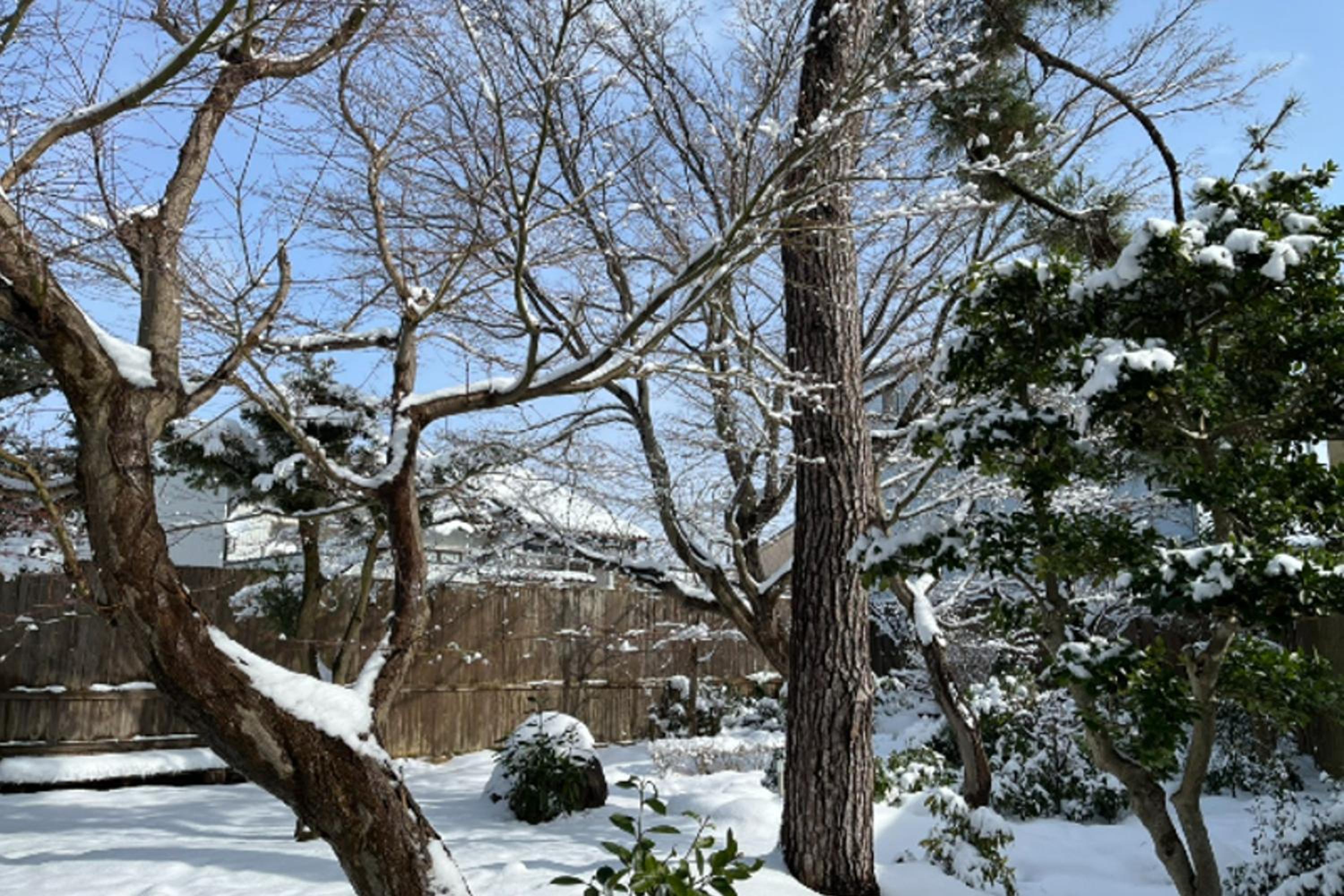 Machi no Odoriba view 4
