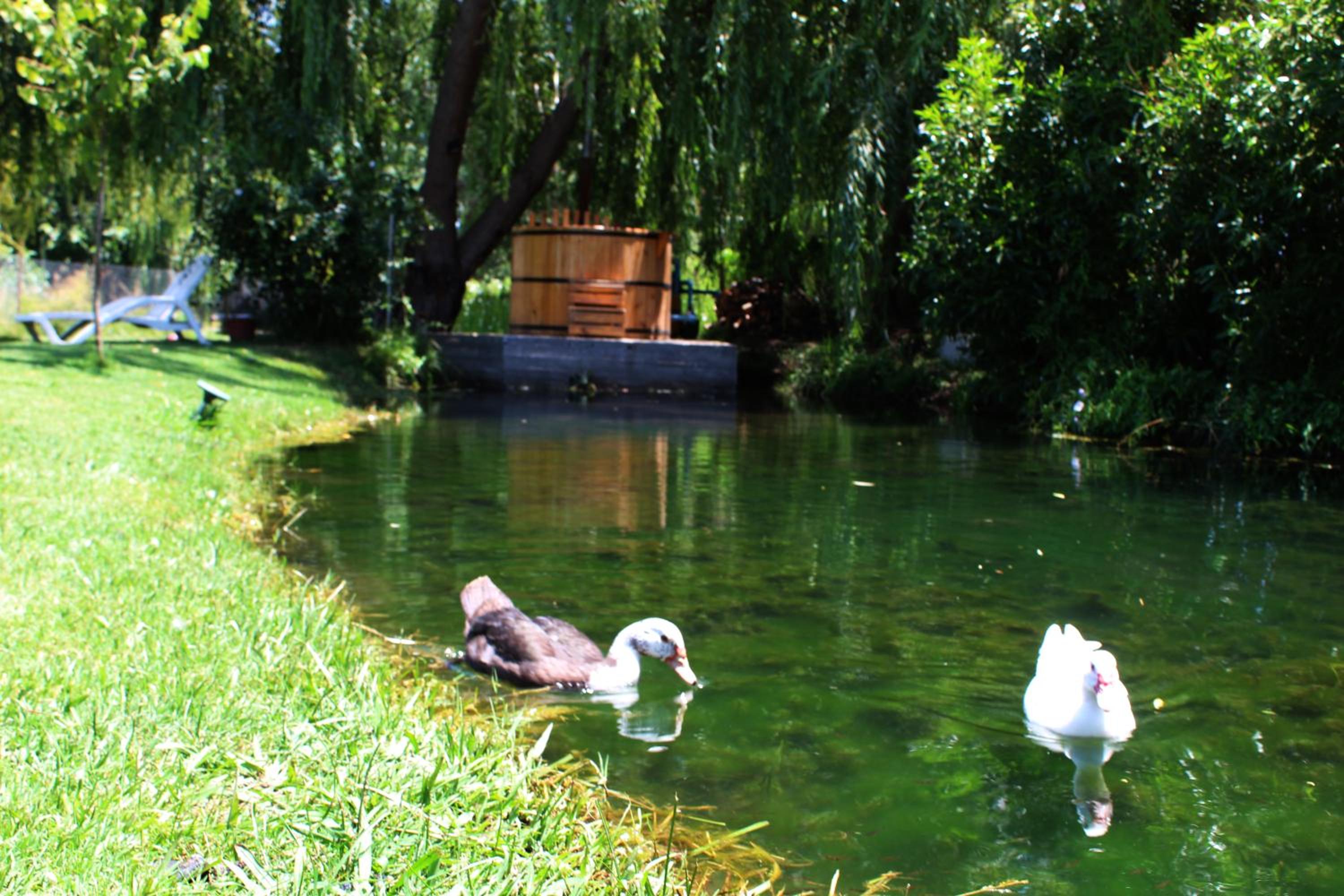 Photo 40
