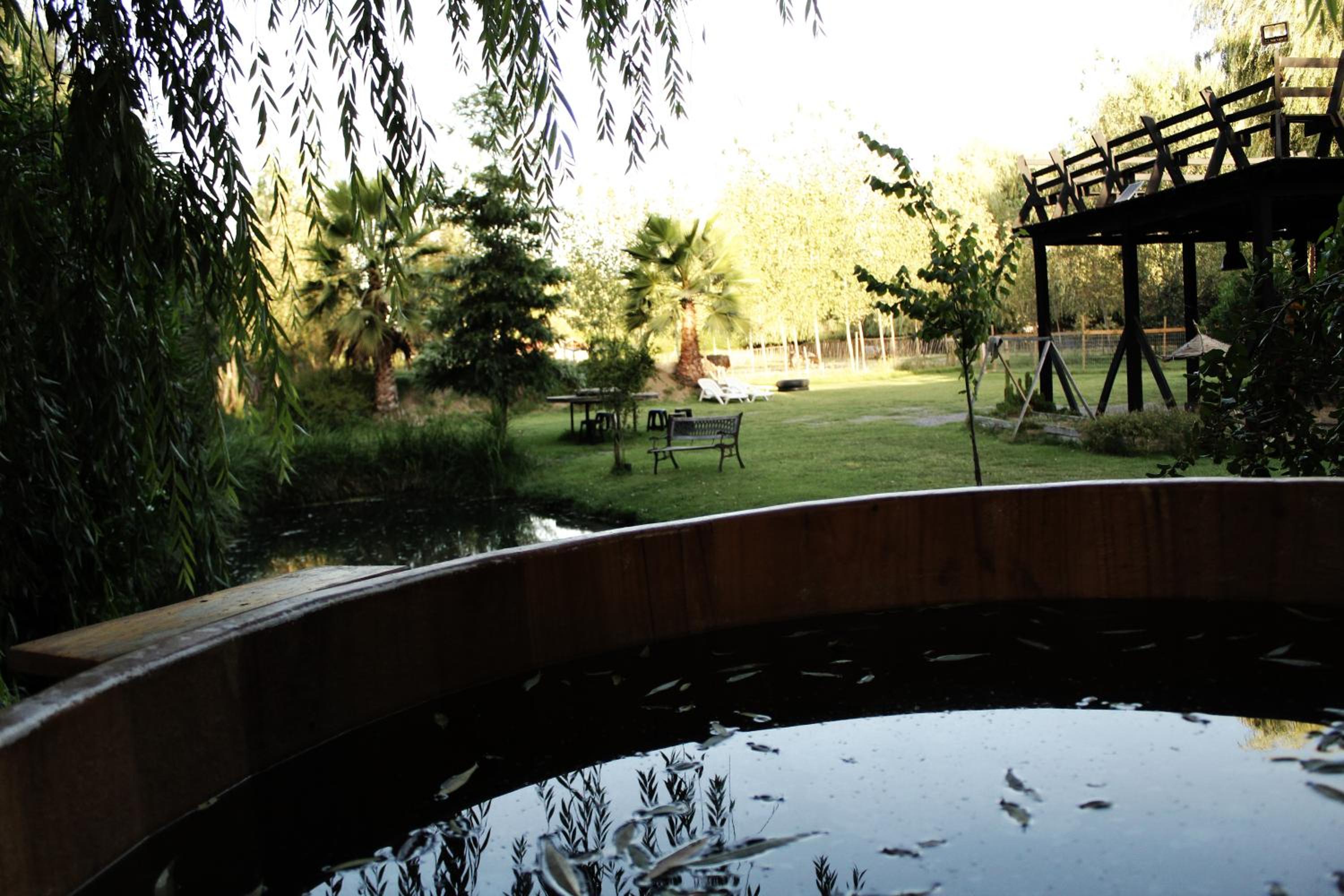 Photo 44