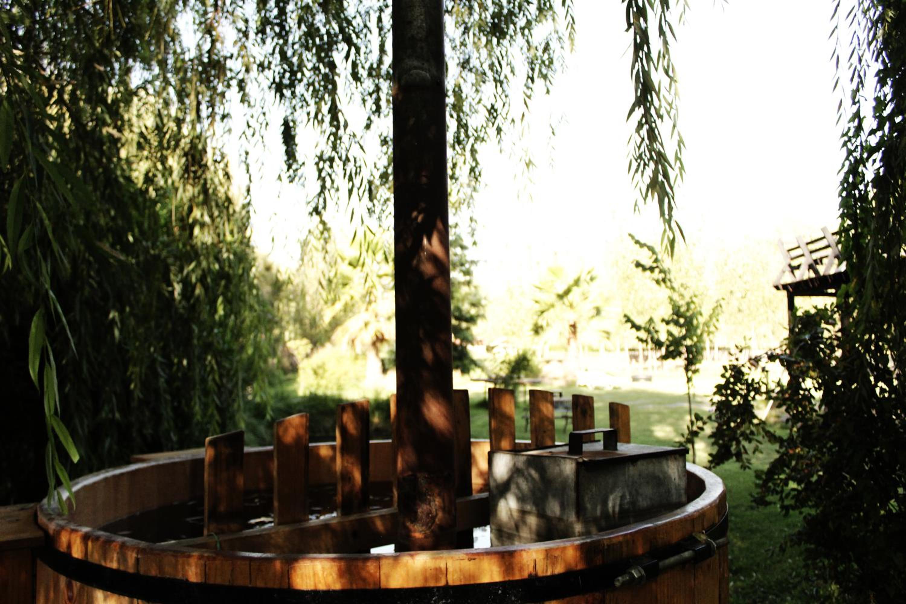 Photo 43