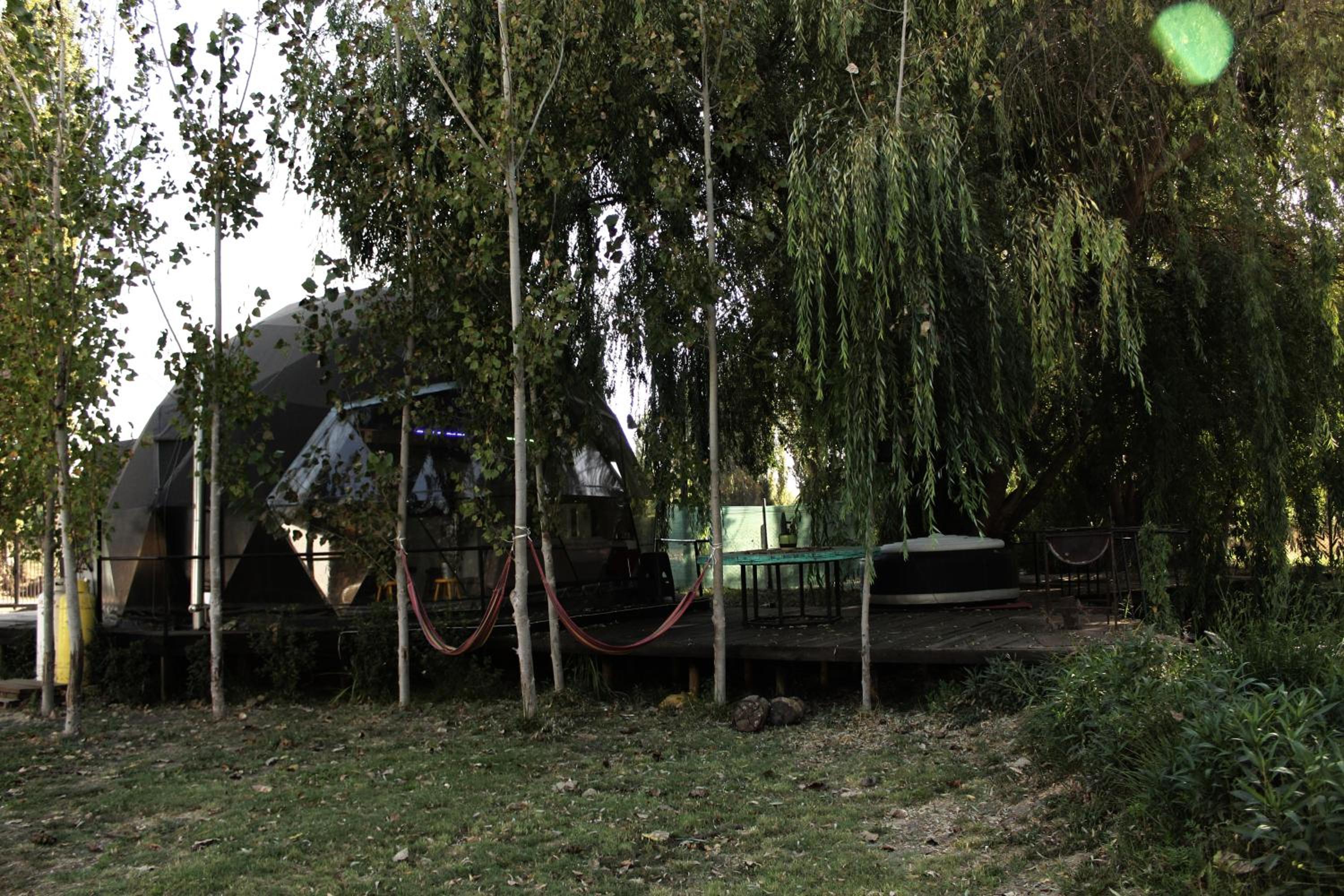 Photo 51