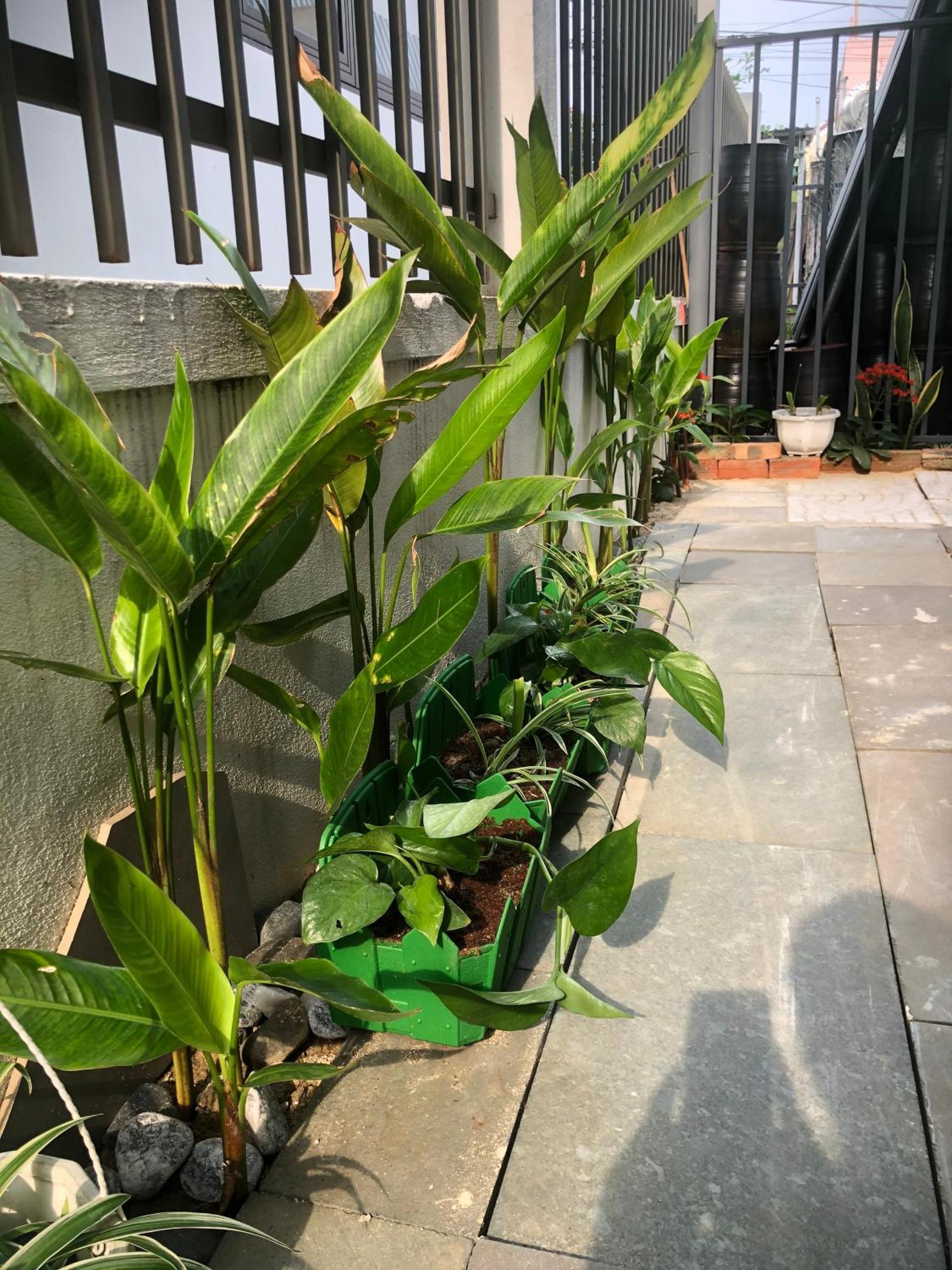 Homestay Phương House