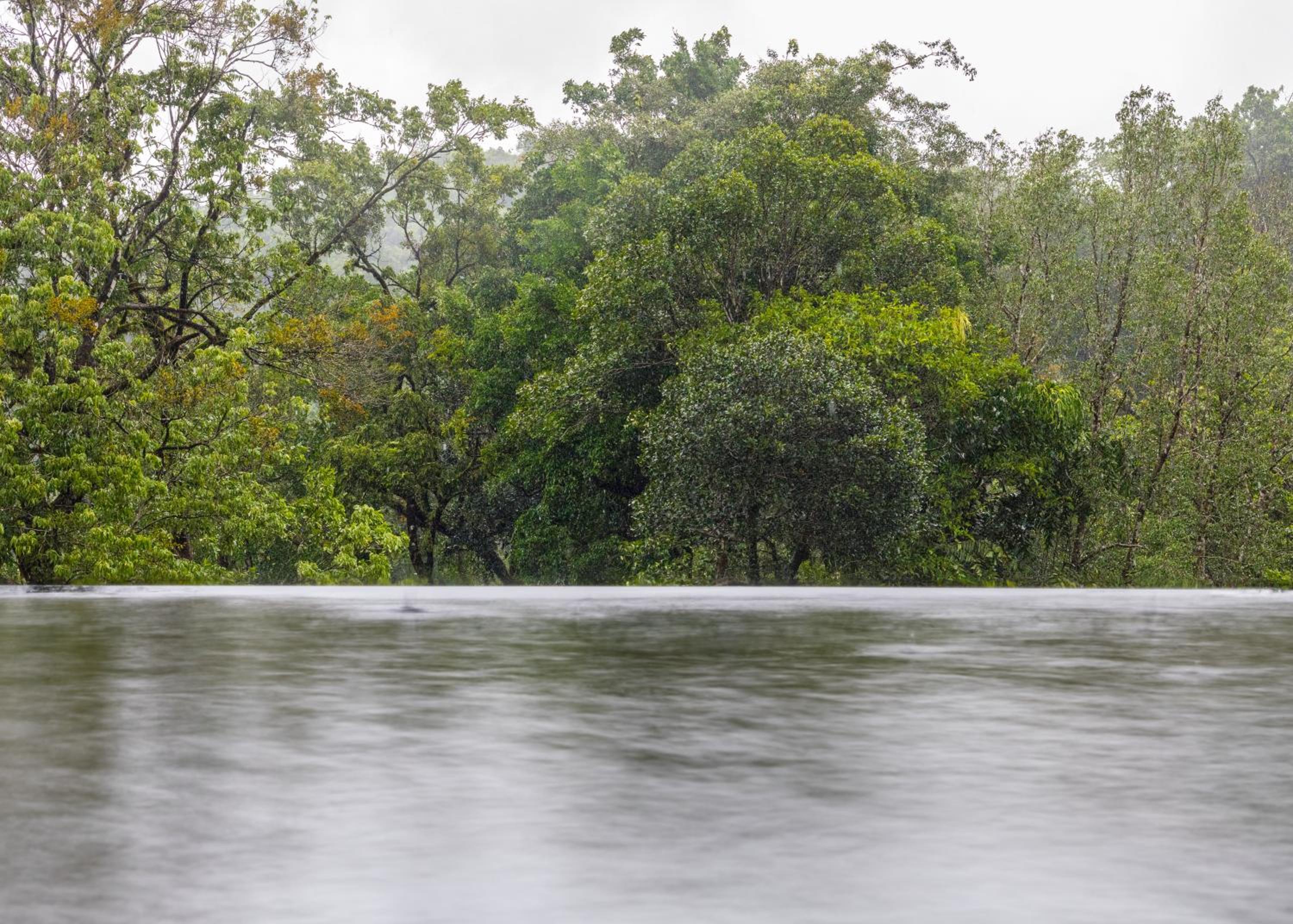 Ayatana Coorg 42