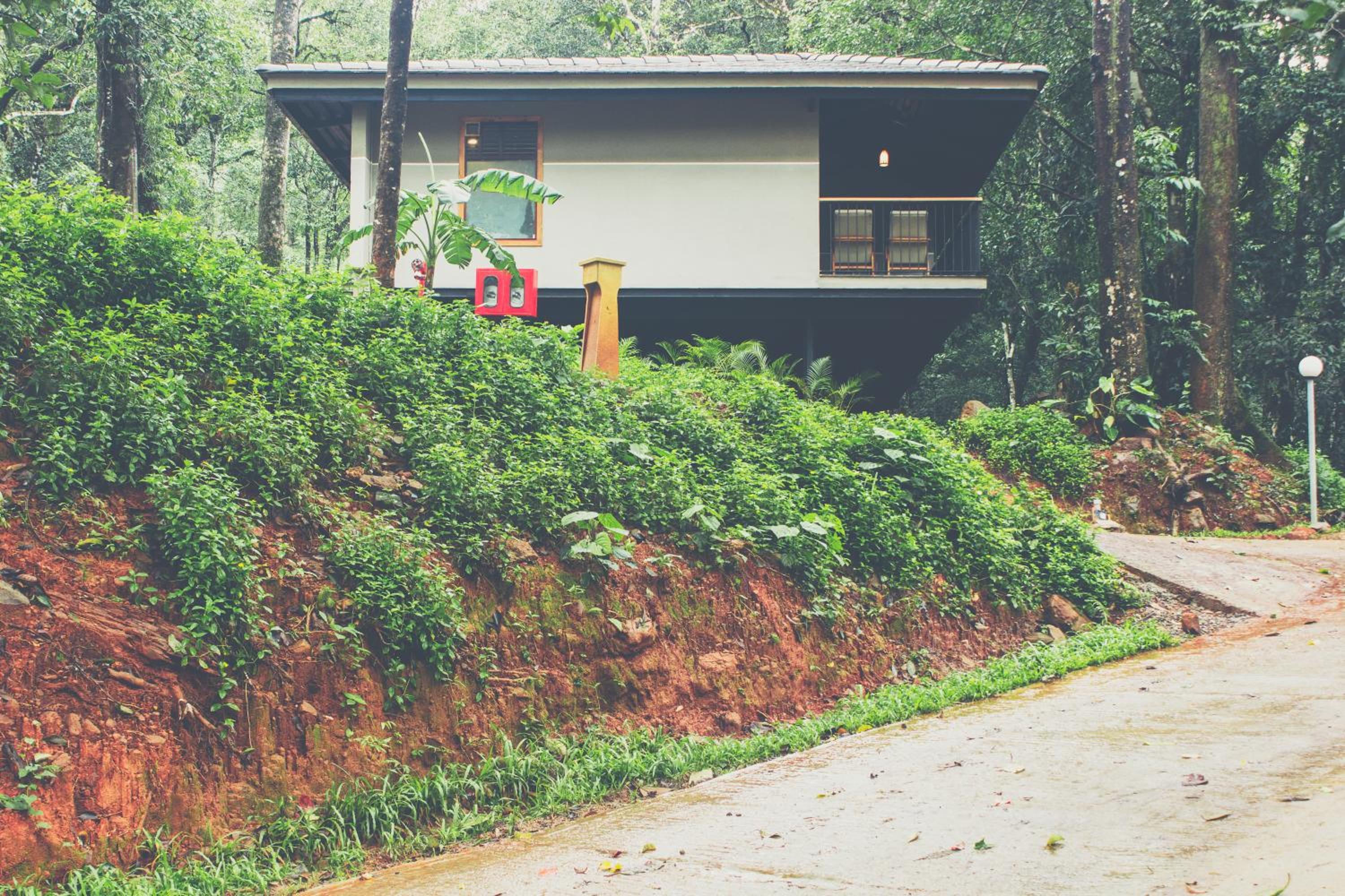 Ayatana Coorg 40