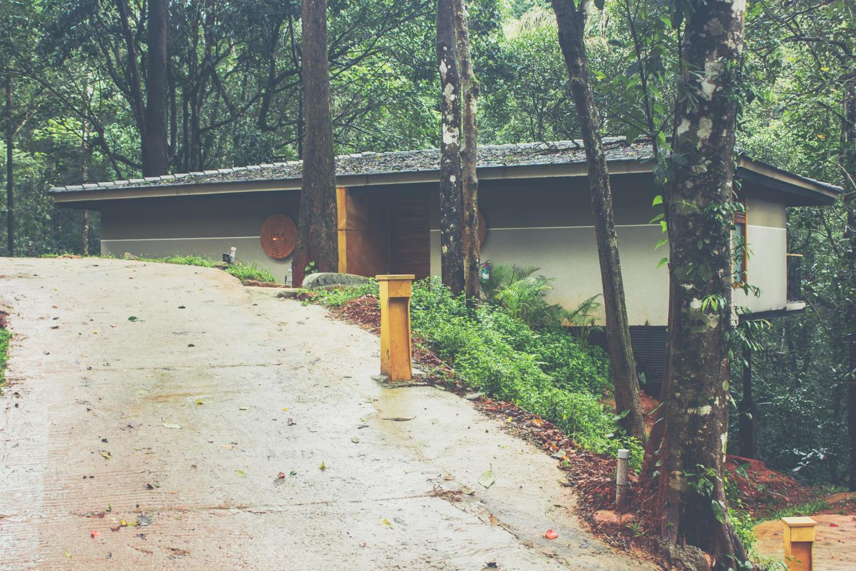 Ayatana Coorg 41