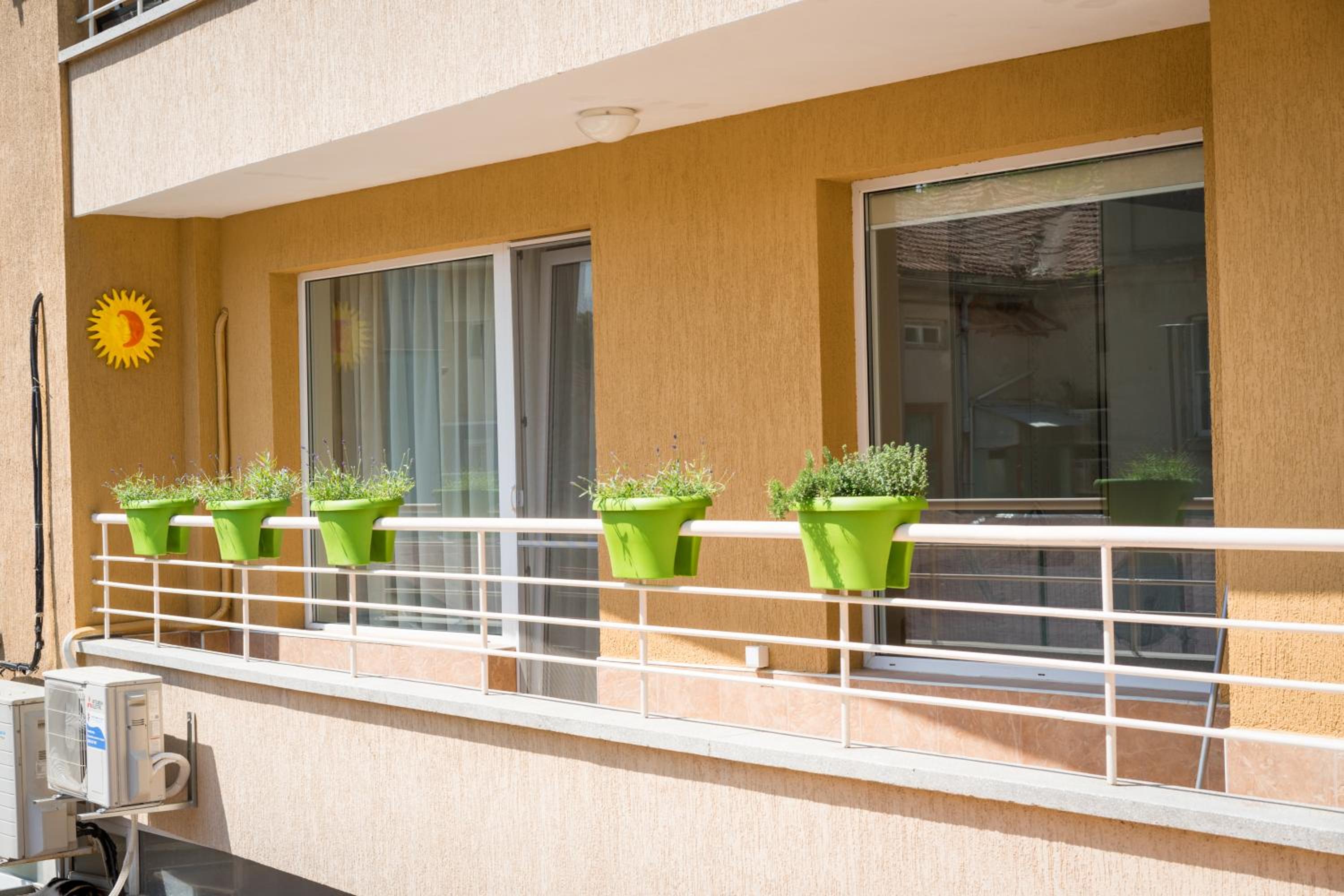 Sea grape wine flat in old center