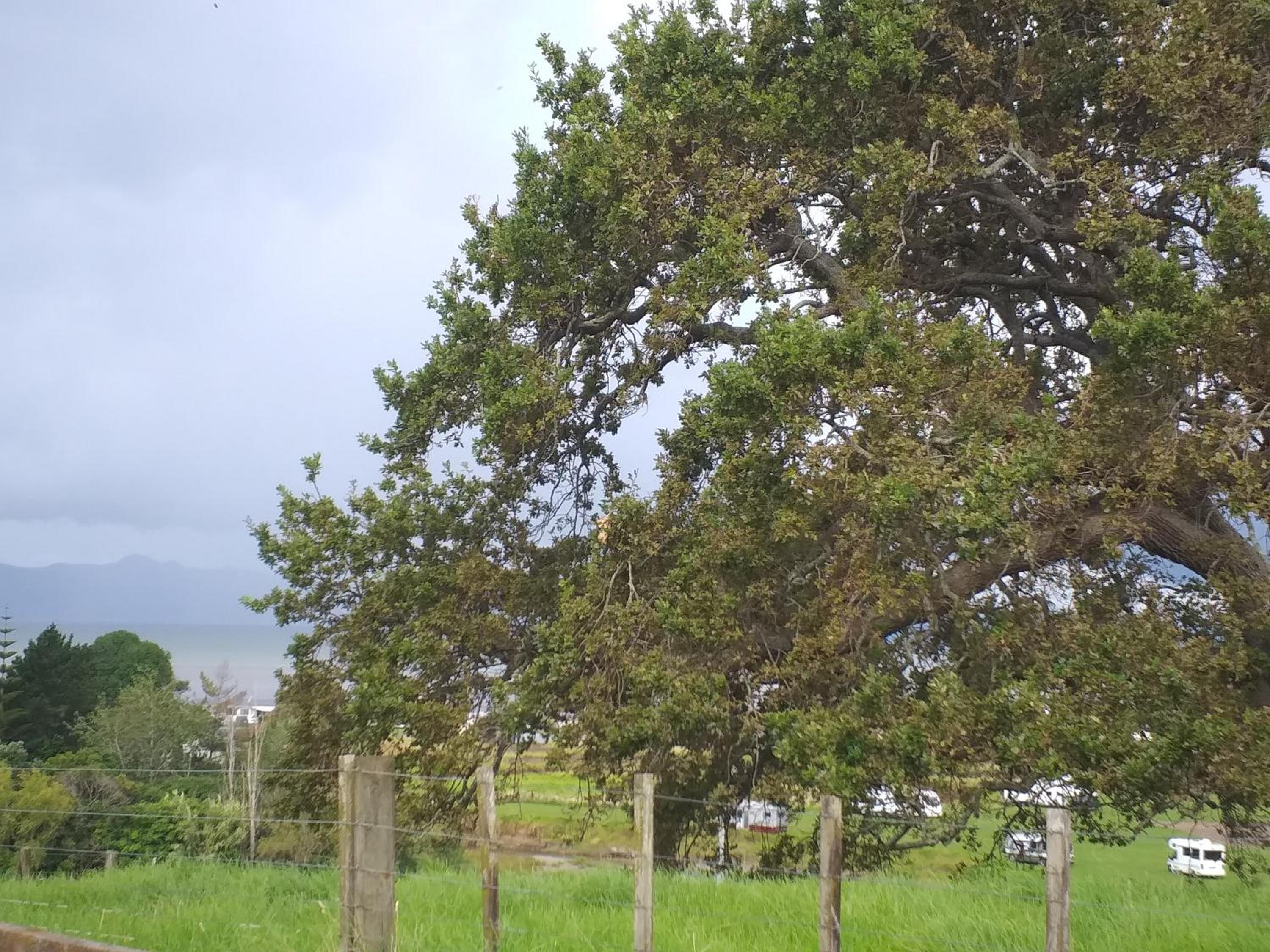 Kaiaua Bayview Farm Apartment