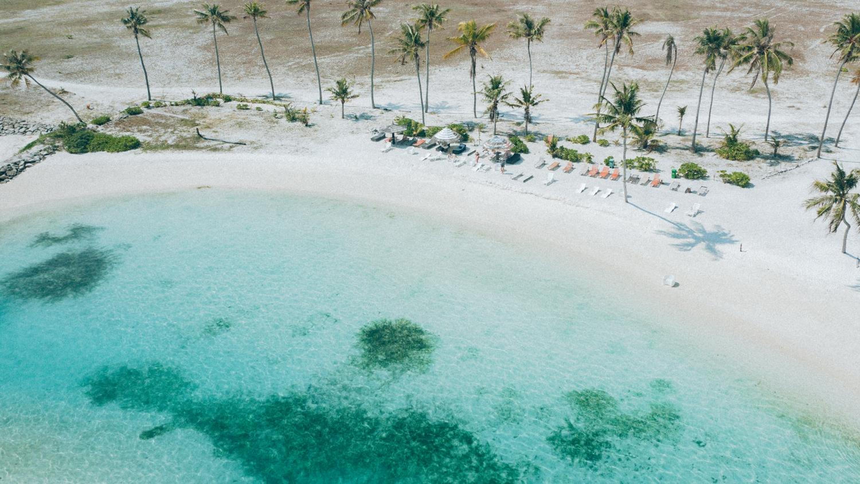 The Bilimbi Guesthouse & Inn photo 2