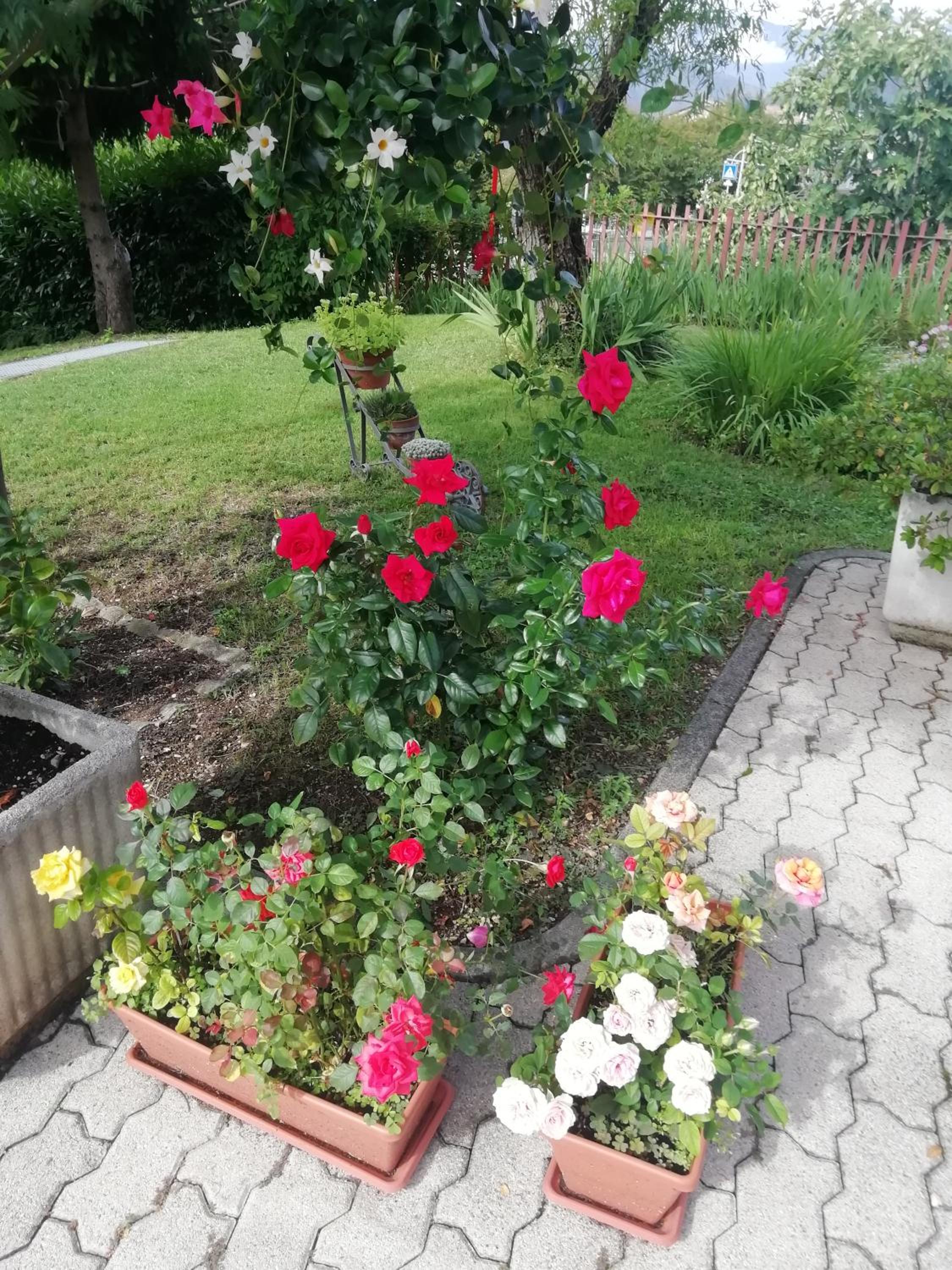 Photo 38
