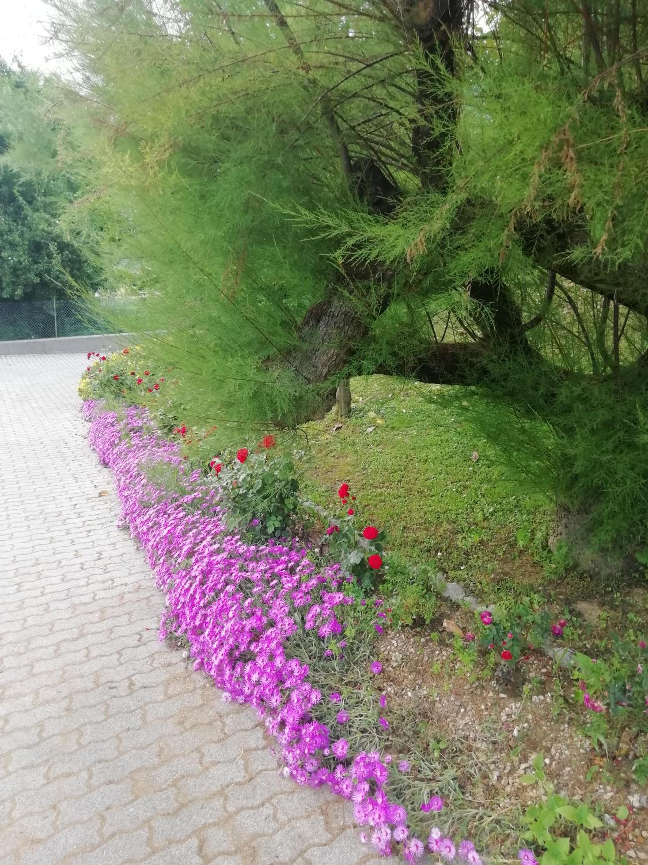 Photo 37