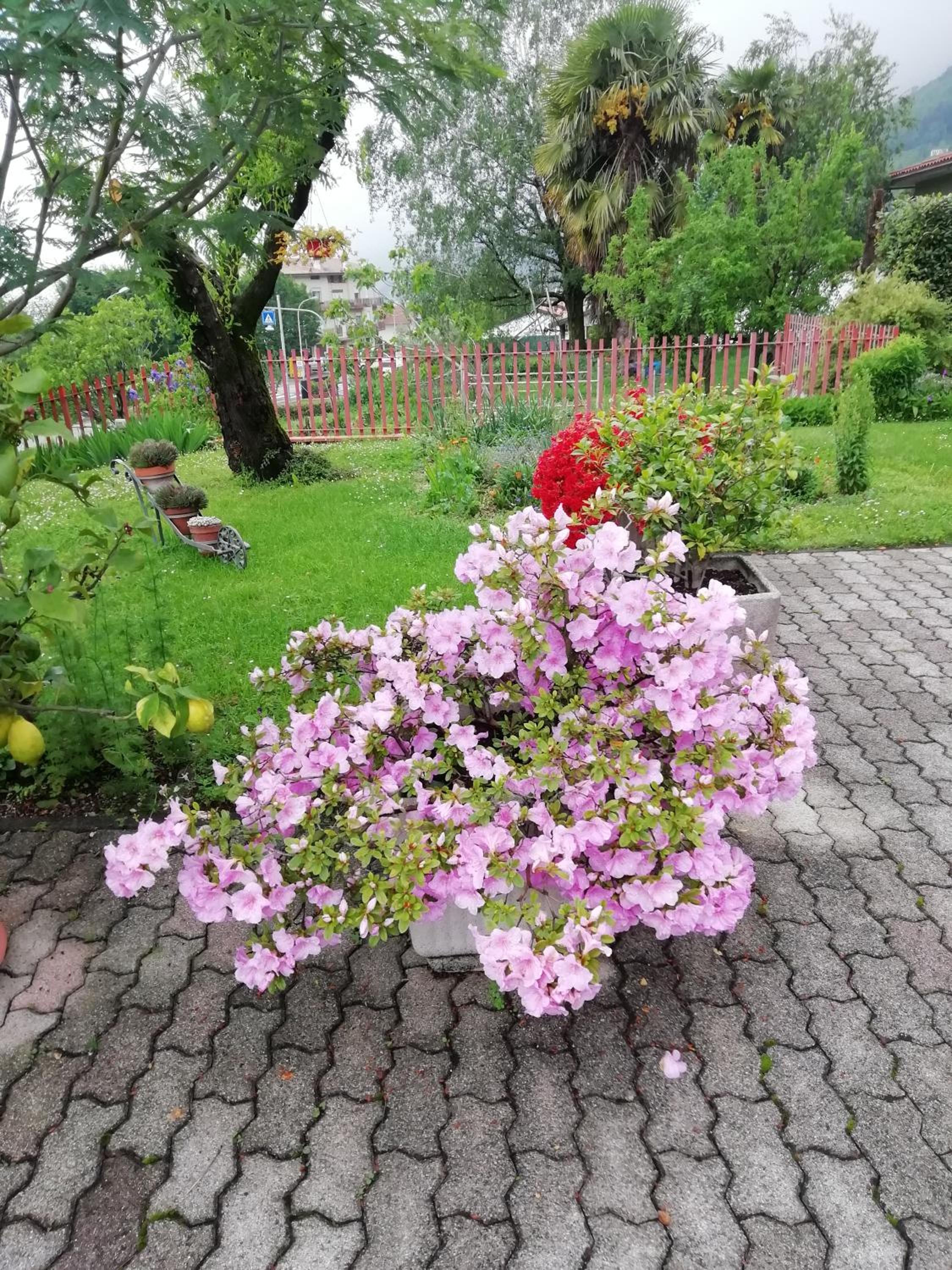 Photo 40