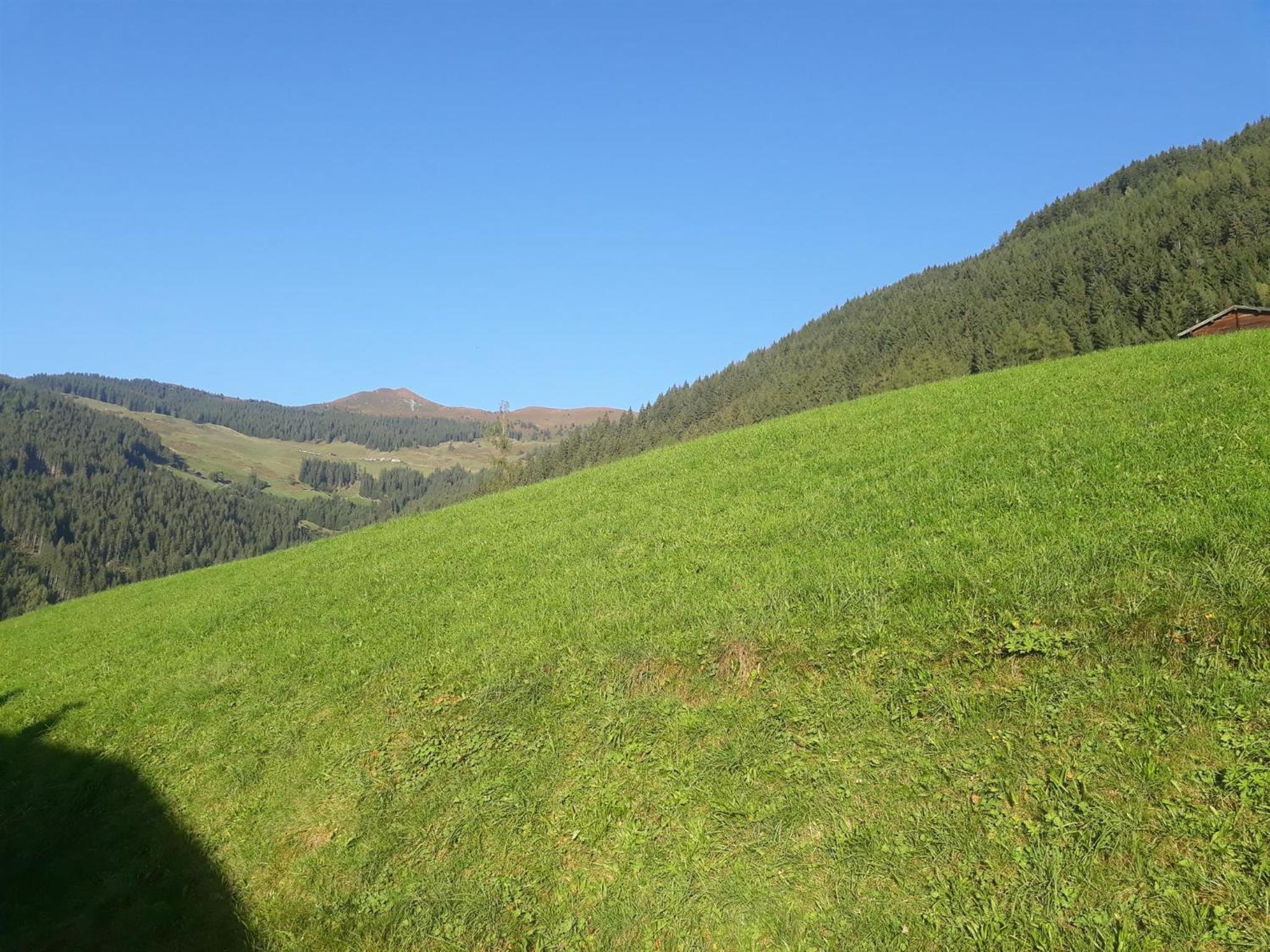 Ferienwohnung Schmalegg