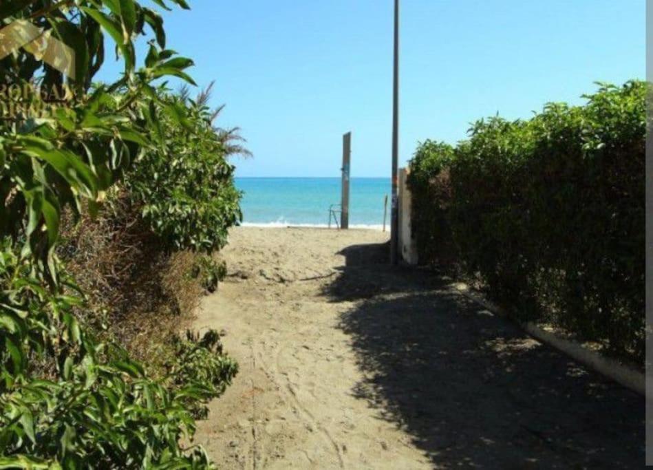Encantador estudio naturista en 1ª linea de playa view 4