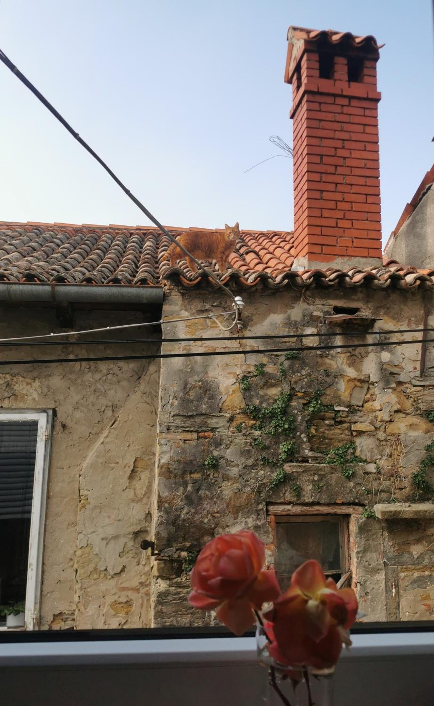 Photo 29